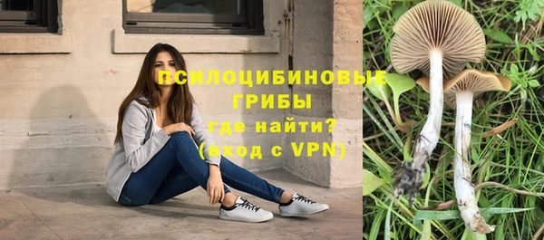 бошки Алексеевка