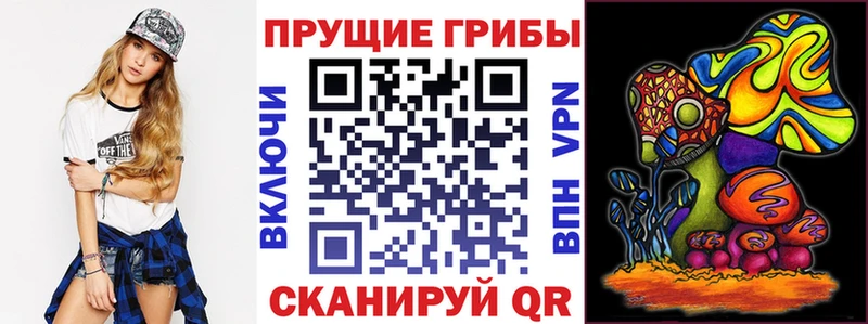 где купить наркоту  блэк спрут маркетплейс  Галлюциногенные грибы ЛСД  Шелехов 
